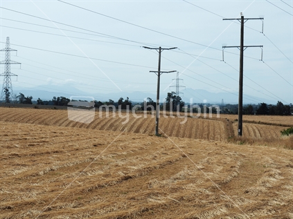 Power lines on Canterbury Plains