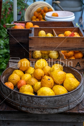 lemons and citrus for sale at market in wooden boxes