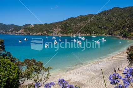Boats in a bay on a summers day 9Near flowers focus)