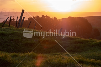 looking into sun across fields of rural new zealand