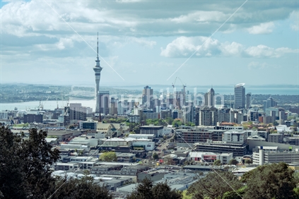 view of Auckland sky tower from Mount Eden
