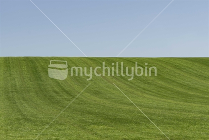 Minimalist mowed field with sweeping cut lines