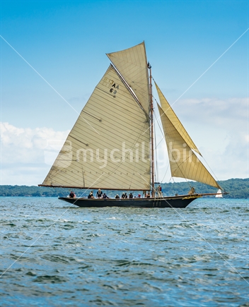 Vintage Classic Yacht "Waitangi" sailing on Waitemata