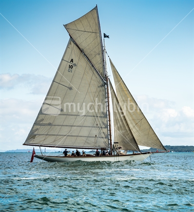 Vintage Classic Yacht "Thelma" sailing on Waitemata