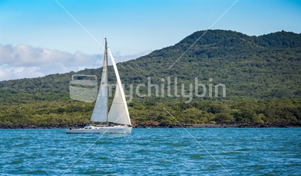 Northener Ketch under sail with Rangitoto in background