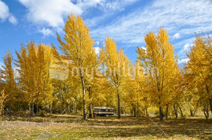 Autumn trees with caravan.